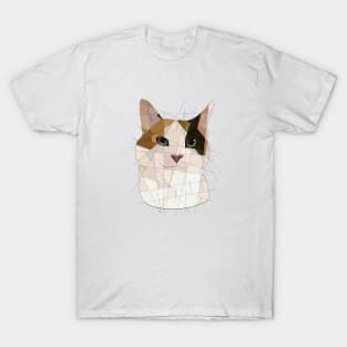 Calico T-Shirt